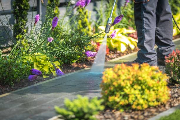 Best Driveway Pressure Washing  in East Hemet, CA